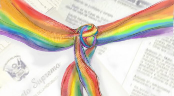 5 razones para oponerse a la Unión Civil Homosexual