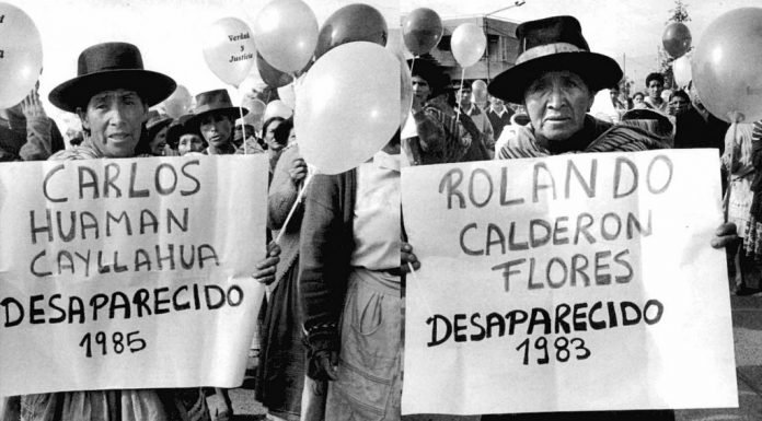 Entrevista a Elizabeth Salmón