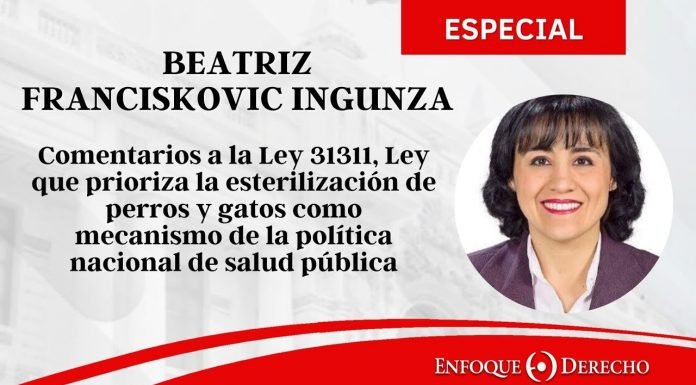 Beatriz Franciskovic | Comentarios a la Ley 31311