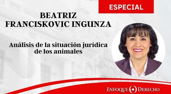Beatriz Franciskovic Ingunza | Situación jurídica de los animales