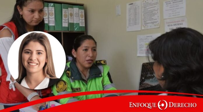 Procedimiento, aplicación y eficacia de las medidas de protección en los casos de violencia contra la mujer