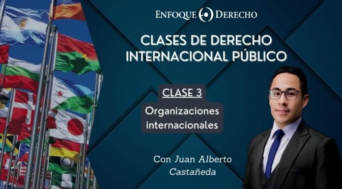 Clases de Derecho Internacional Público?| Clase 3: Organizaciones Internacionales