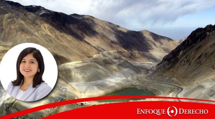 Reflexiones en torno a la fiscalización ambiental a consultoras ambientales