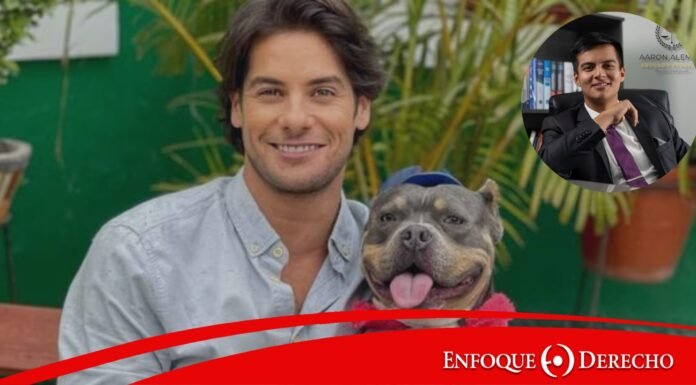 Maltrato físico y psicológico en el proceso penal de faltas: el caso Andres Wiese