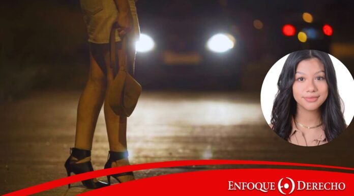 Trabajo Sexual: Reflexiones desde el Derecho Internacional y Comparado