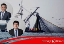 ¿Cuándo se configura la infracción de entrega deliberada de información falsa en materia pesquera? A propósito de la sentencia de vista – expediente N° 06471-2021