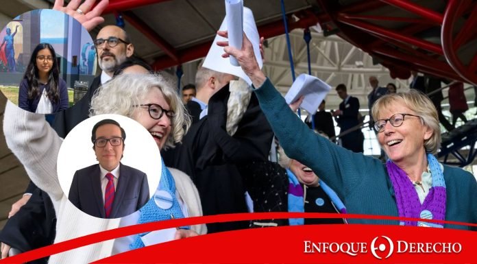 Las Abuelas por el Clima y su triunfo en el TEDH: La relevancia del ecofeminismo gerontológico en los casos de litigio climático