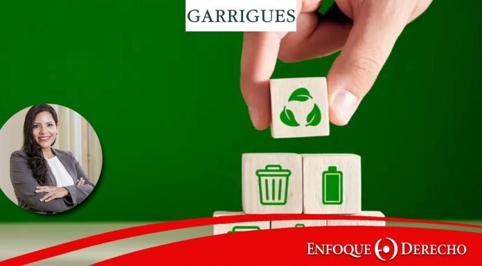 Los desafíos de las finanzas sostenibles: entre los problemas de eco-agencia, greenwashing y el balance de la divulgación apropiada