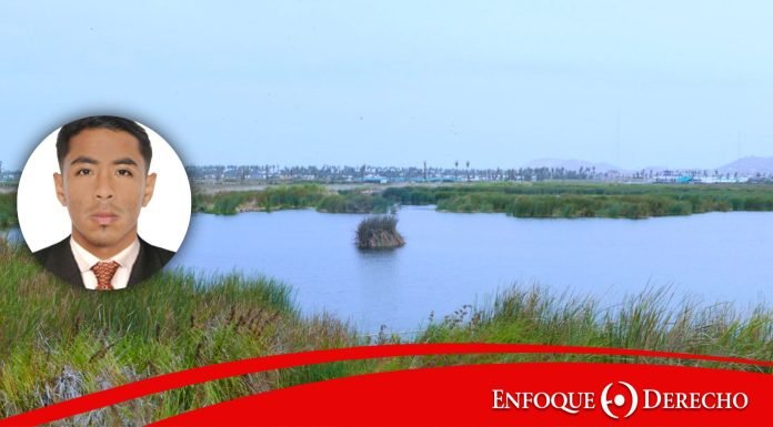 Análisis de las actividades humanas en los humedales enfocado en el humedal Los Pantanos de Villa: Una visión a la legislación peruana y chilena