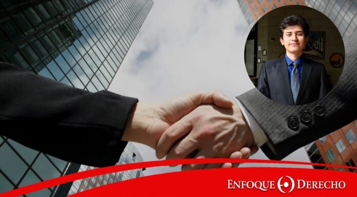 Las APPs y el mecanismo G2G: procedimientos administrativos y desafíos actuales