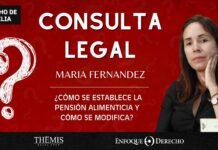 Consulta Legal | ¿Cómo se establece la pensión alimenticia y cómo se modifica?