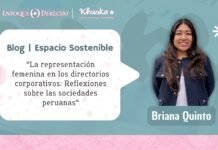 La representación femenina en los directorios corporativos: Reflexiones sobre las sociedades peruanas