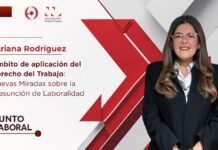 Blogger | Ariana Rodríguez: Ámbitos de Aplicación al Derecho del Trabajo